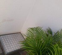 20190628_100131.jpg